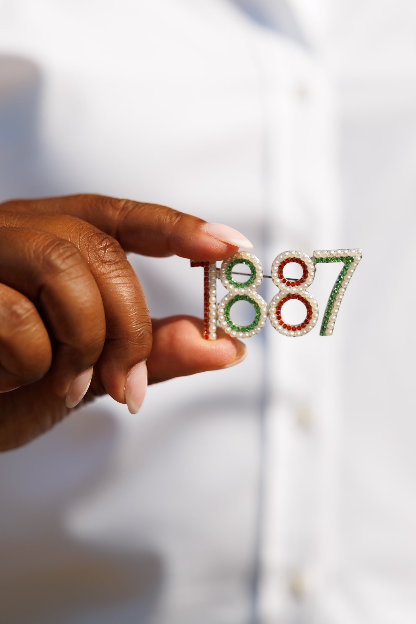 1887 FAMU Crystal Stone Lapel Pin