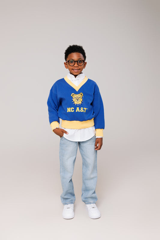 Youth NCA&T V-Neck Sweatshirt