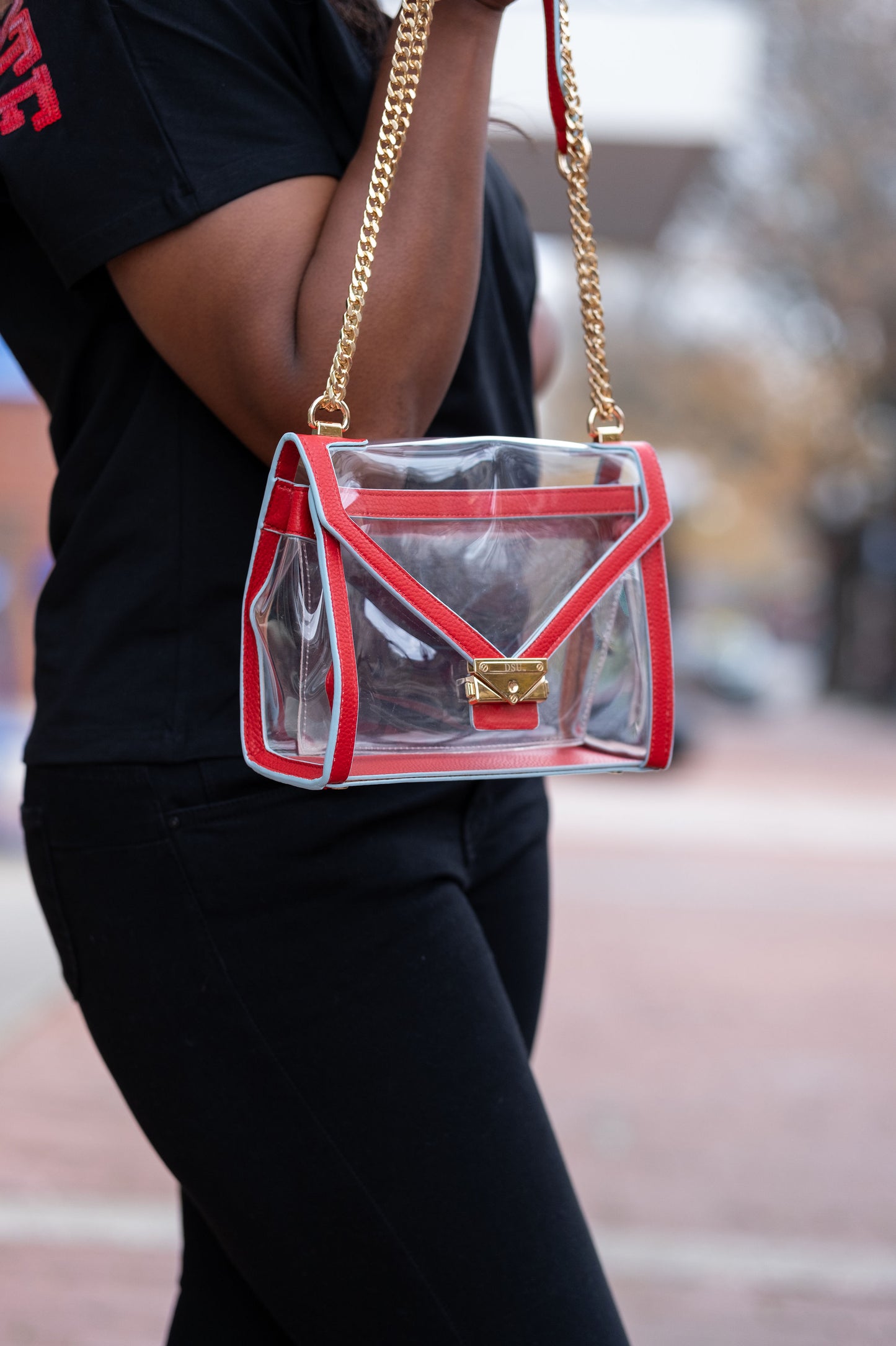 Delaware State Game Day Bag