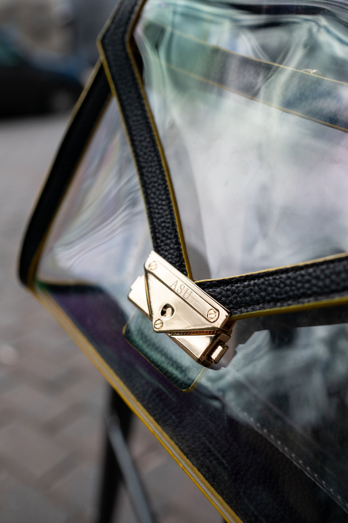 Alabama State Game Day Bag
