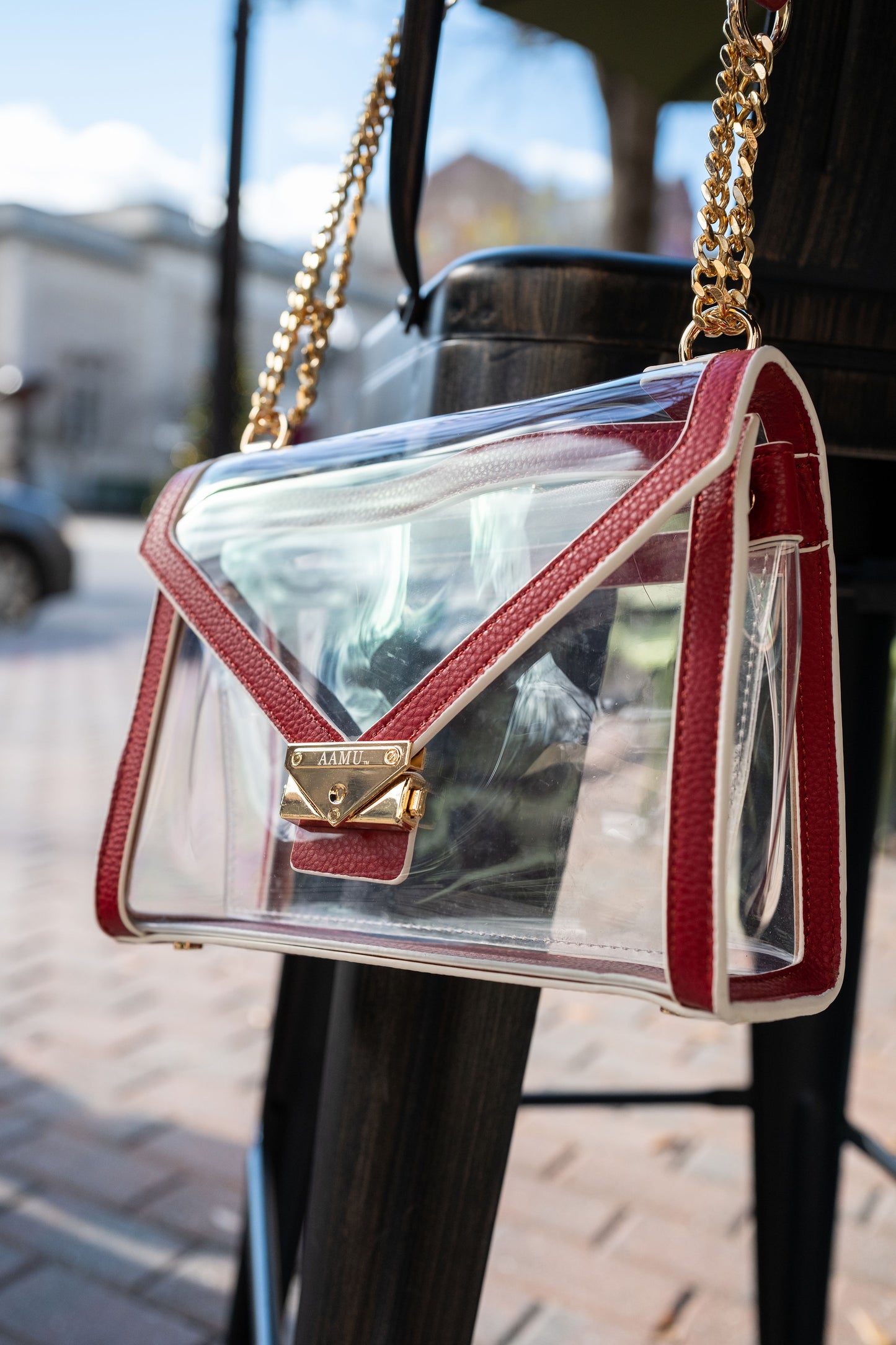 Alabama A&M Game Day Bag