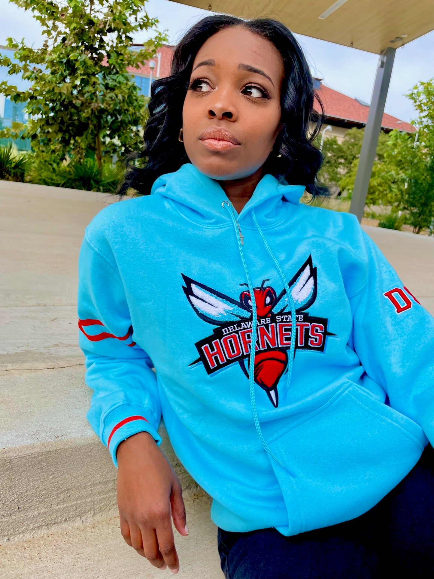 Delaware State Mascot Hoodie (Unisex)