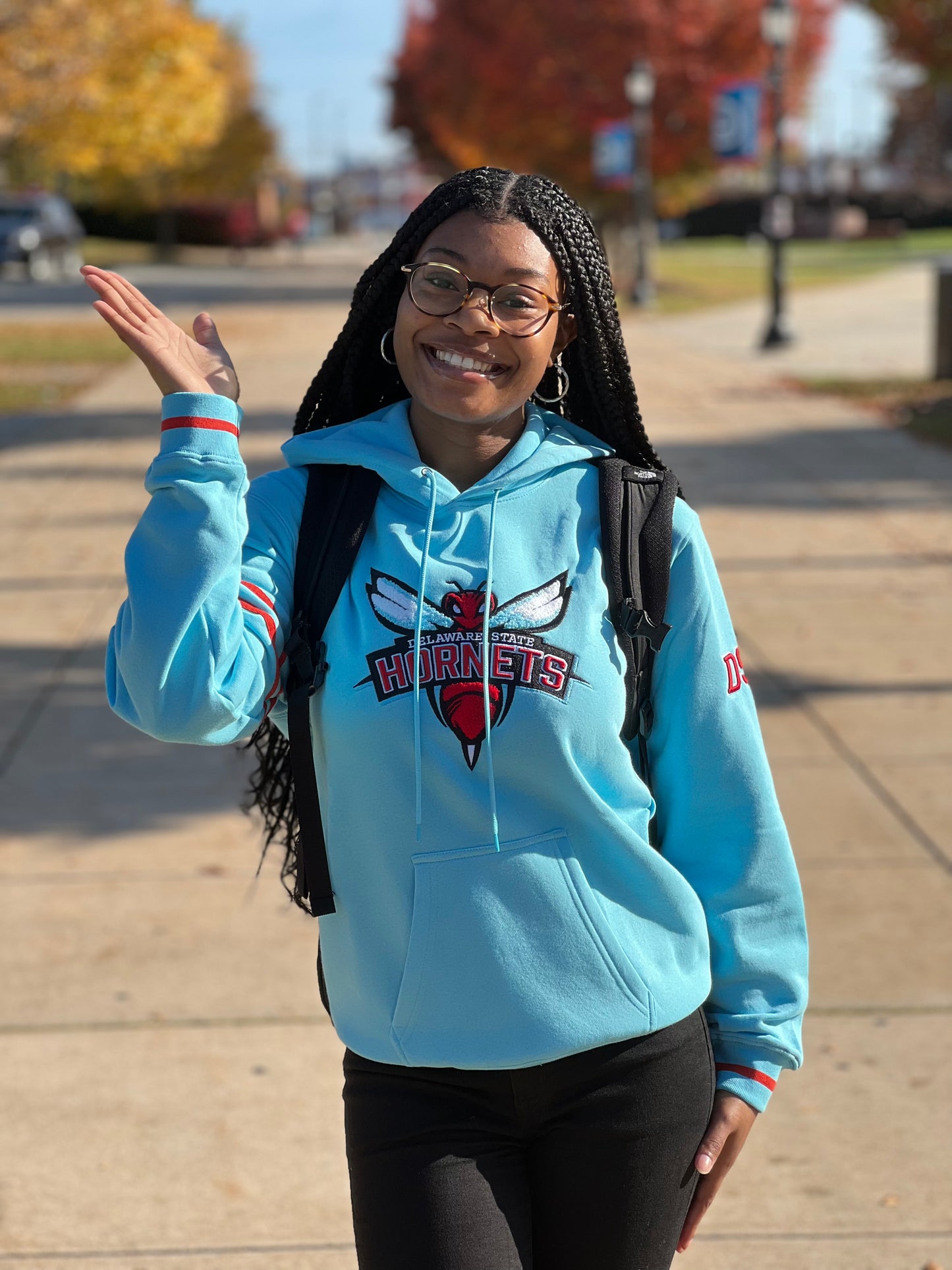 Delaware State Mascot Hoodie (Unisex)