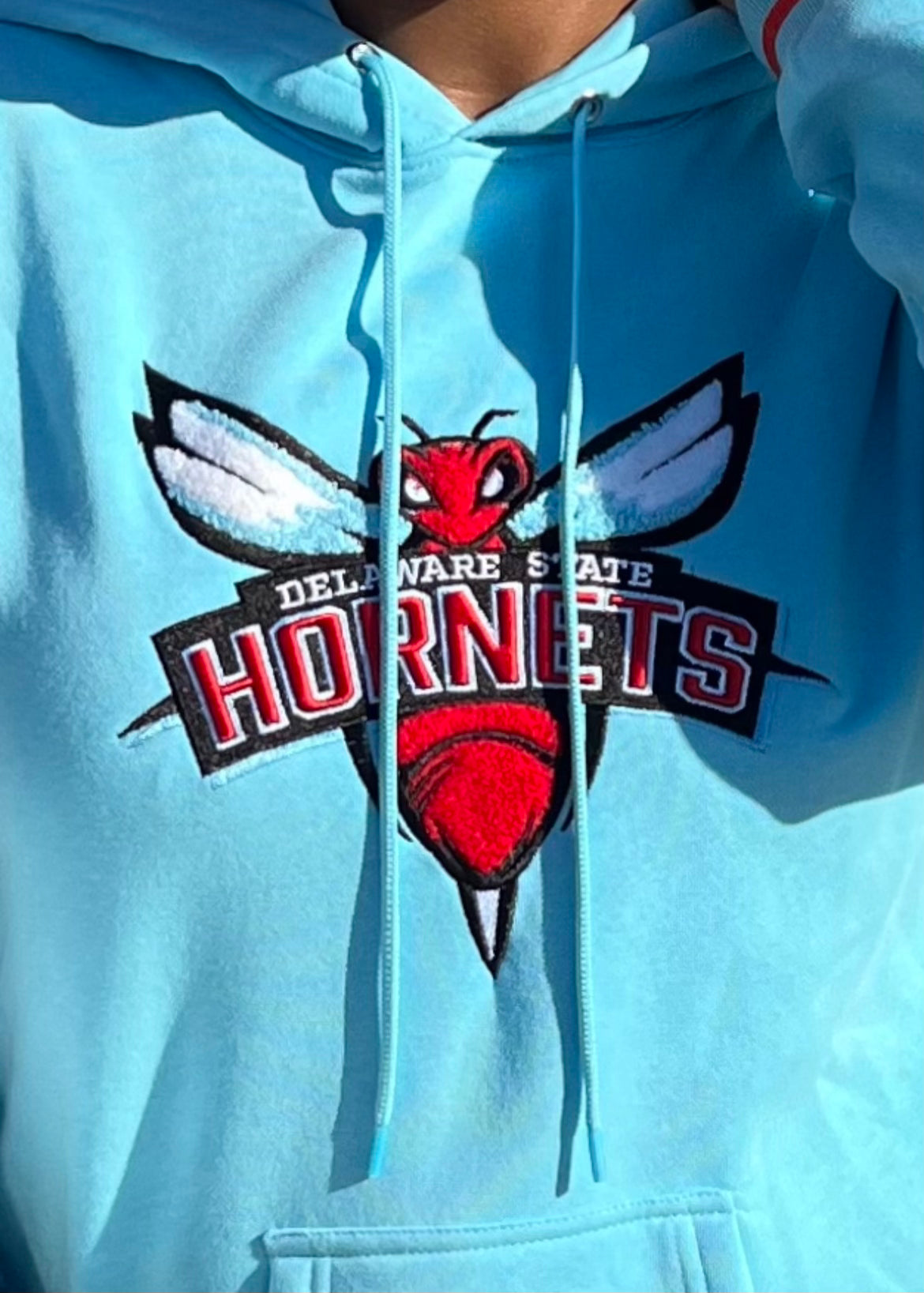 Delaware State Mascot Hoodie (Unisex)