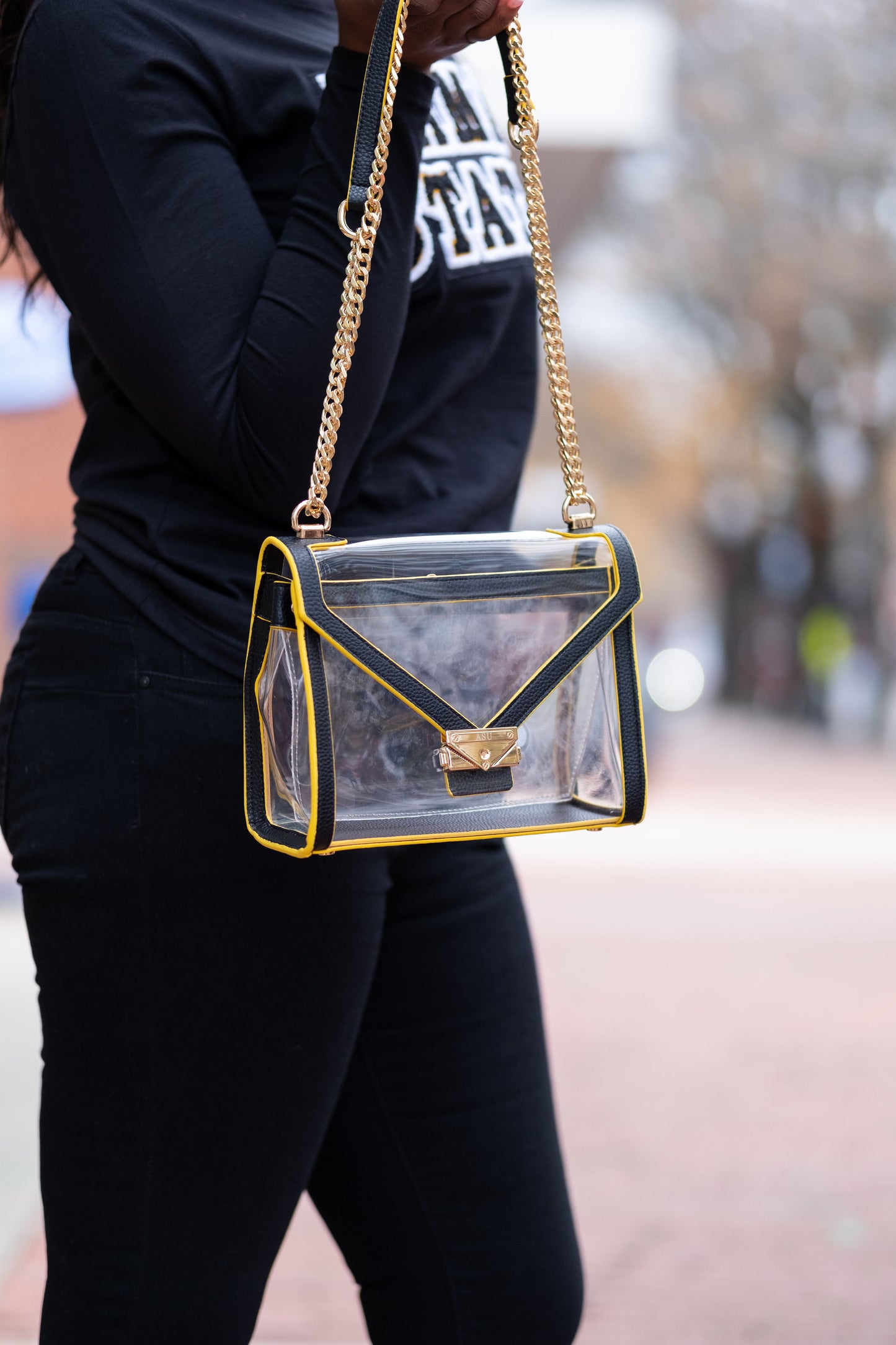 Alabama State Game Day Bag