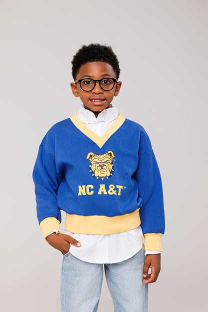 Youth  NCA&T V-Neck Sweatshirt