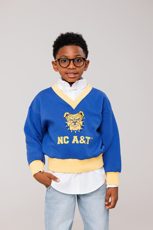 Youth  NCA&T V-Neck Sweatshirt