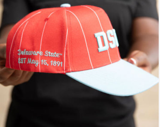 Delaware State Striped Cap