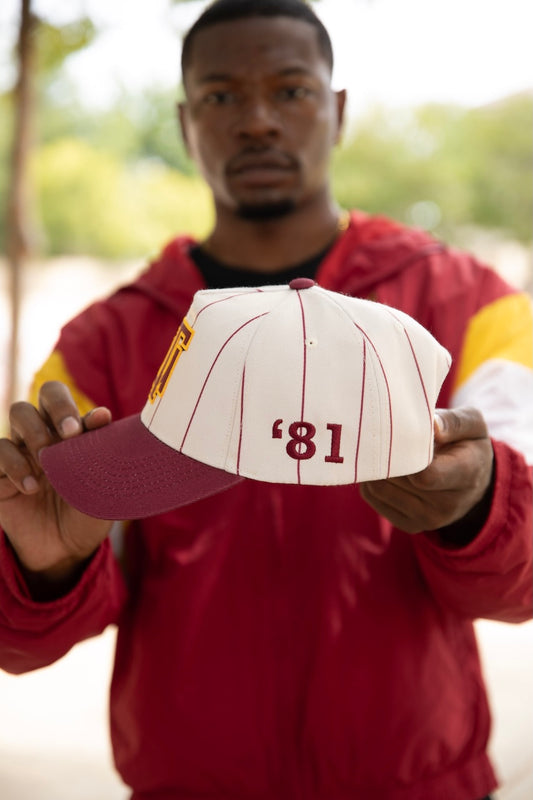 Tuskegee University Striped Cap