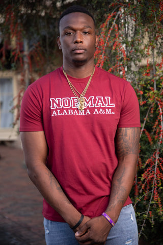 Normal Alabama A&M Tee