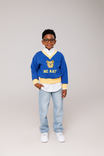 Youth  NCA&T V-Neck Sweatshirt