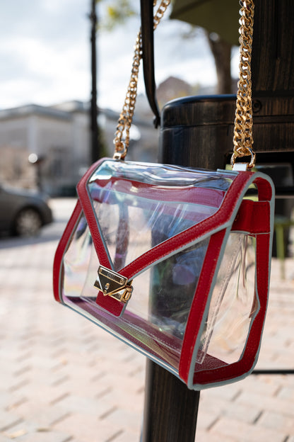Delaware State Game Day Bag