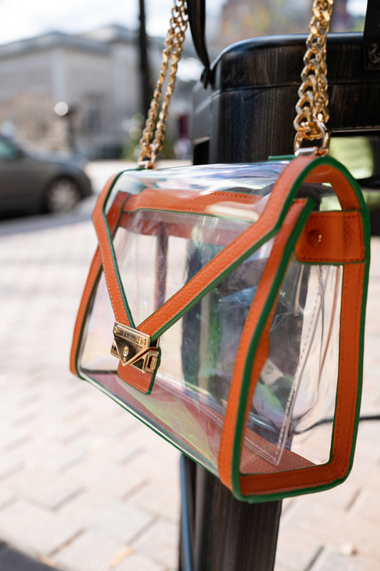 FAMU Game Day Bag