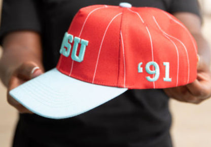 Delaware State Striped Cap