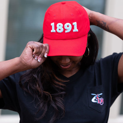 Delaware State 1891 Cap