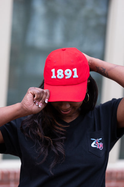 Delaware State 1891 Cap