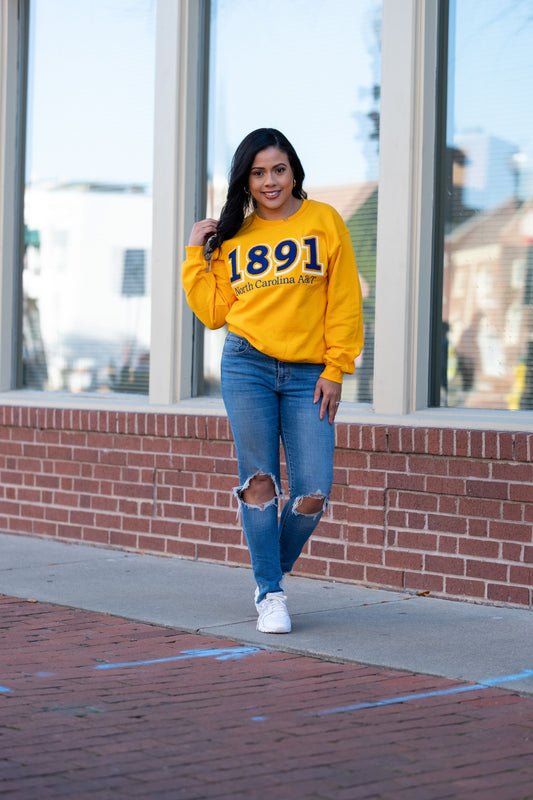 1891 North Carolina A&T Sweatshirt (Unisex)