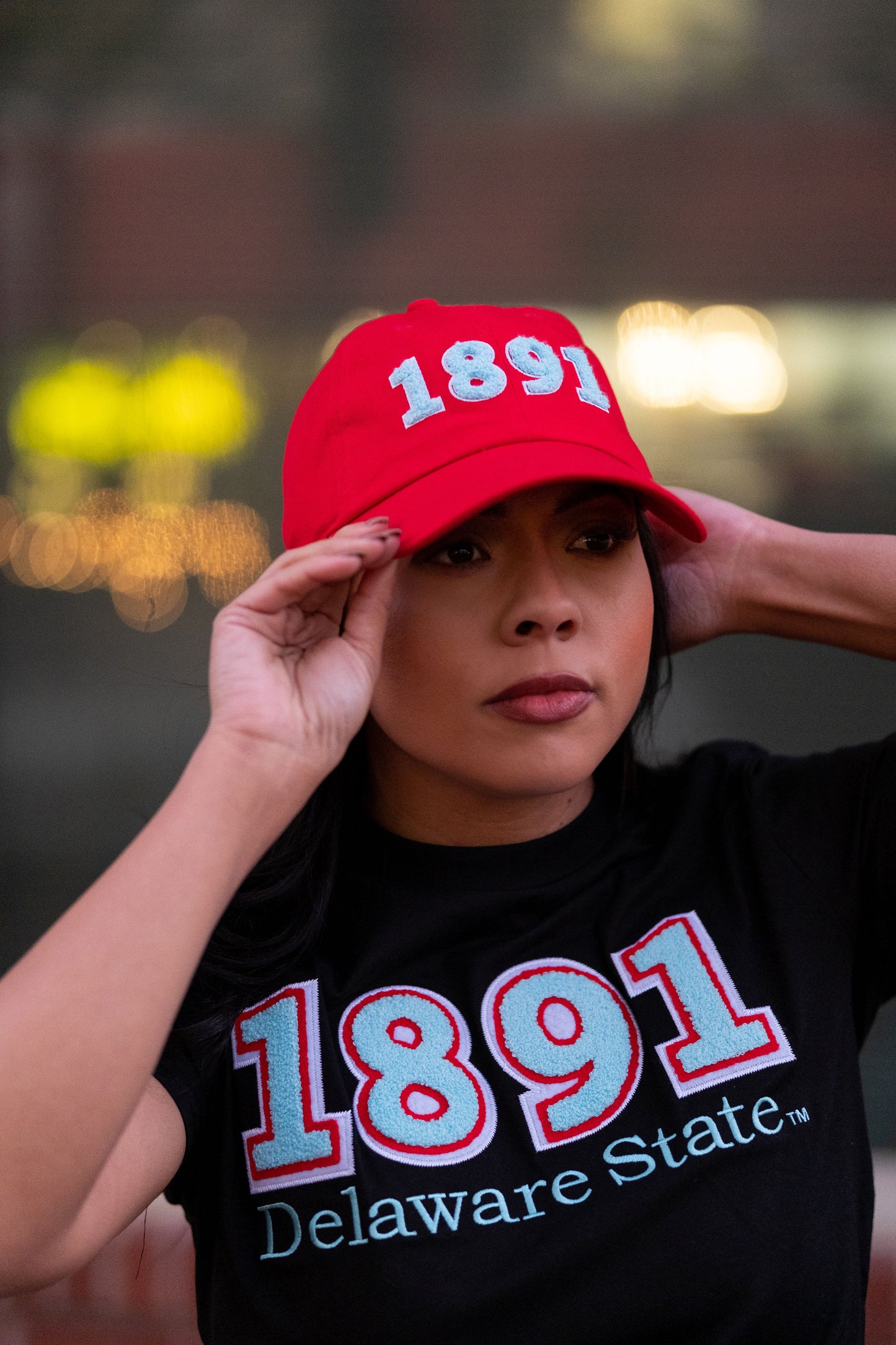 Delaware State 1891 Cap
