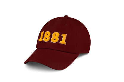 Tuskegee 1881 Cap